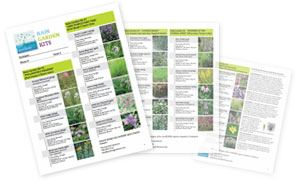FREE rain garden guide